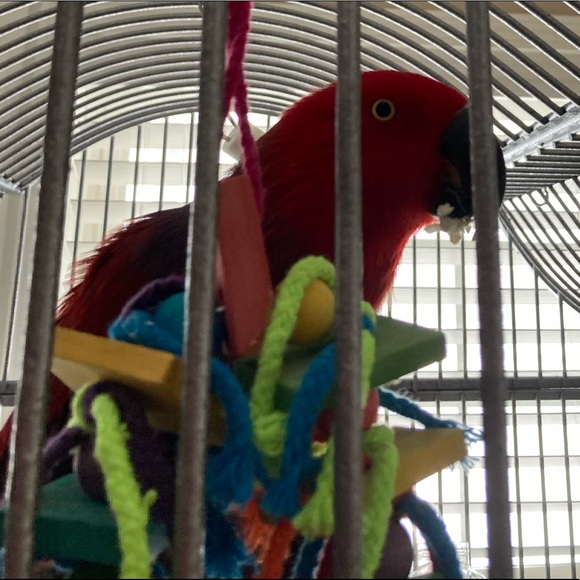 Meet your Posher - Picture 2 of 5